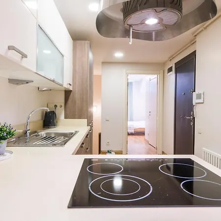 Lejlighed Modern 2 Bedroom Duplex With Garden In Cihangir Istanbul