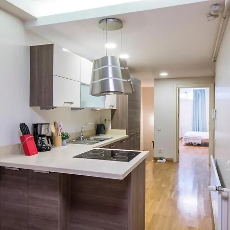 Lejlighed Modern 2 Bedroom Duplex With Garden In Cihangir *